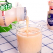 椰汁岛 胃动力乳酸菌饮品340ml*12瓶