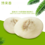 馋来香 阎良白甜瓜 8斤装