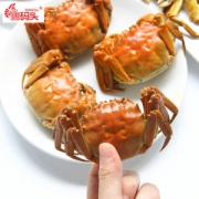 蟹码头 阳澄湖六月黄 大闸蟹 8只 公母随机 单个1.6-1.8两