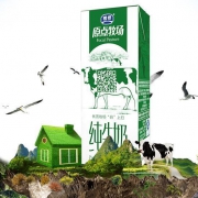 银桥 原点牧场纯鲜牛奶 250ml*10盒