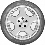 Goodyear固特异 汽车轮胎 205/55R16 91W F1 Directional5