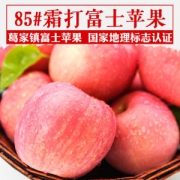 烟台红富士 85径一级果 自然熟不打蜡 5斤装