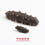 海滨小金 8小时速发淡干海参 2.5g