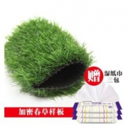 送湿巾！巧君 仿真草坪样品