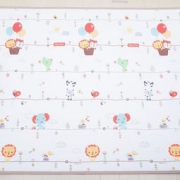 Fisher-Price 费雪 FHW29 宝宝爬行垫