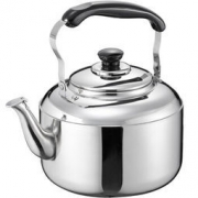 ASD 爱仕达 T系列 不锈钢 烧水壶 5L *2件+凑单品