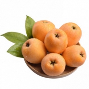 四川米易 枇杷2kg