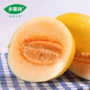 乡果味 陕西阎良 黄金蜜瓜 5斤装
