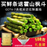 央视报道品牌 江楠枫 新鲜铁皮石斛鲜条 500g
