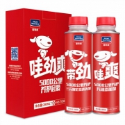 京东joy联名款！固特威 KB-7008 汽油添加剂  280ml*2瓶
