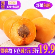 预售 果江庭 山西运城新鲜黄杏 5斤