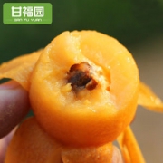10点抢 攀枝花 米易 高山甜枇杷 3斤