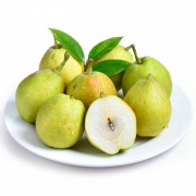 常枫 新疆库尔勒香梨1kg