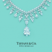 精选 TIFFANY & Co 蒂芙尼首饰专场