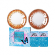 GEO Honey Wing 半年抛彩色隐形眼镜2片装