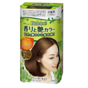 kao 花王 Blaune染发剂 3号 浅棕色 40g *4件 +凑单品 ￥100.9+￥11.28含税直邮（满减，合￥112）