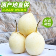 爱亚汇 正宗赵县 河北鸭梨 5斤 单果300-400g 约8个