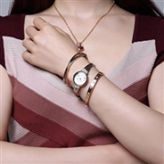 Anne Klein AK/2245RTST 女士手表套装