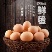 地理标志产品 如东狼山鸡蛋 土鸡蛋 2盒24枚