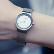 SKAGEN 诗格恩 Classic 358SSSD 女士时装手表