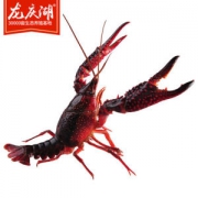 龙庆湖 麻辣小龙虾 4斤 35-50只 稻田生态养殖 净虾2斤