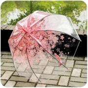 雨中乐 透明 日本樱花伞