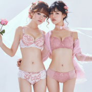 11日0点前3000件！  Gainree 歌瑞尔旗下 ABW16795 女内衣组合套装