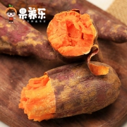 果养乐 六鳌红蜜薯红心地瓜5斤