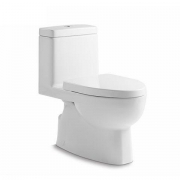 KOHLER 科勒 K-19111T/19112T 瑞雅五级旋风连体座便器