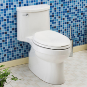 KOHLER科勒 马桶座便器坐便器