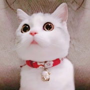 碧净 猫咪项圈 带铃铛 XS-L码可选 6.5元包邮（需用券）