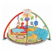 费雪（Fisher Price） T6339  爱心动物声光健身器