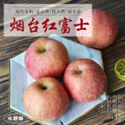 水舒甜 烟台 红富士 冰糖心苹果 5斤
