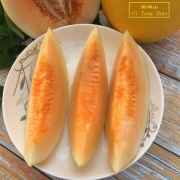 刺桐山 新鲜现摘新疆黄河蜜瓜哈密瓜 5斤