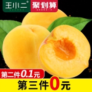 王小二 应季现摘黄桃 9斤