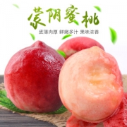 寂静山林 蒙阴水蜜桃 5斤装