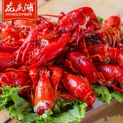 龙庆湖 即食 麻辣小龙虾 1000克