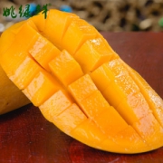 姚绿鲜 泰国释迦摩尼芒 8斤装