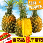 食蕴鲜 新鲜广西香水菠萝 8斤