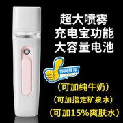 百孝先 纳米大喷雾 补水仪