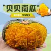 潍萝 贝贝南瓜/板栗小南瓜 4斤