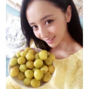 新疆小白杏 端午是最佳赏味时刻