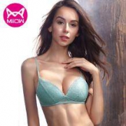 猫人无钢圈欧美风蕾丝聚拢文胸