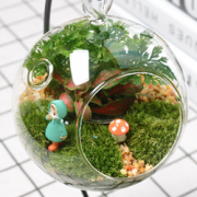 乐趣DIY！旺林 微景DIY观生态瓶迷你绿植盆栽 多款可选