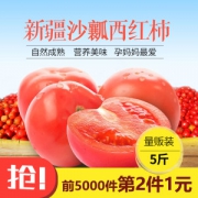 礼之泉 新疆有机沙瓤西红柿 10斤 自然成熟无激素