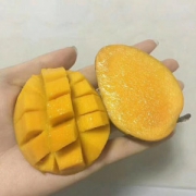 东湖旺 广西小芒果 5斤装