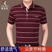 啄木鸟  含桑蚕丝 棉质条纹男式Polo衫