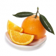 誉福园 秭归伦晚脐橙大果 单果果径80-90mm 10斤