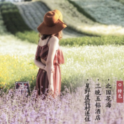 星野度假村 五星纯玩 北海道6日跟团游