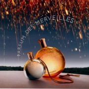 爱马仕（HERMES）   Eau des Merveilles 橘彩星光 女士淡香水 30ml